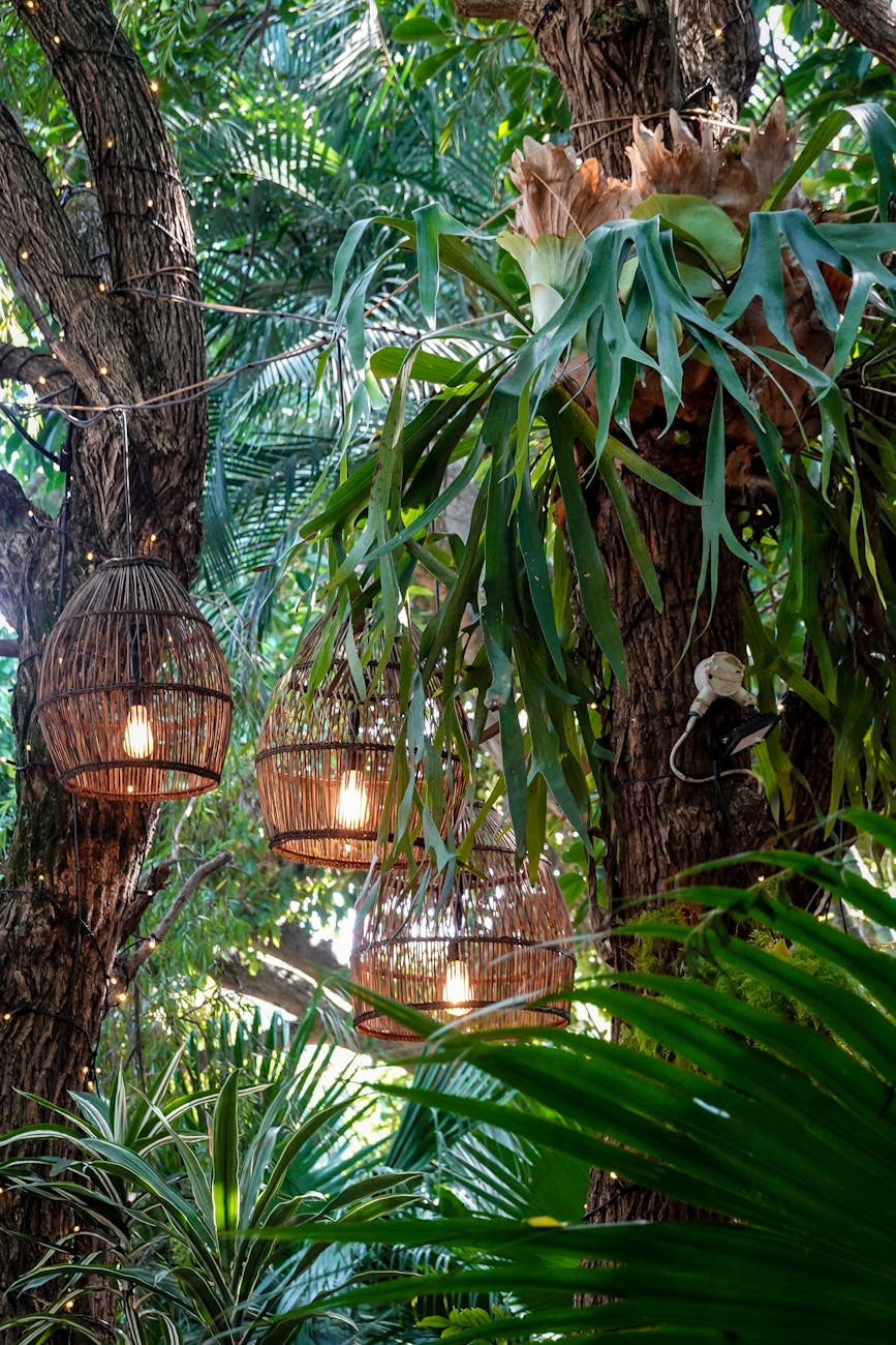 lamps on tropical trees